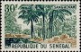 风光:非洲:塞内加尔:sn196502.jpg